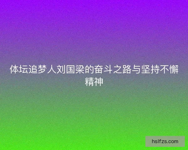 体坛追梦人刘国梁的奋斗之路与坚持不懈精神