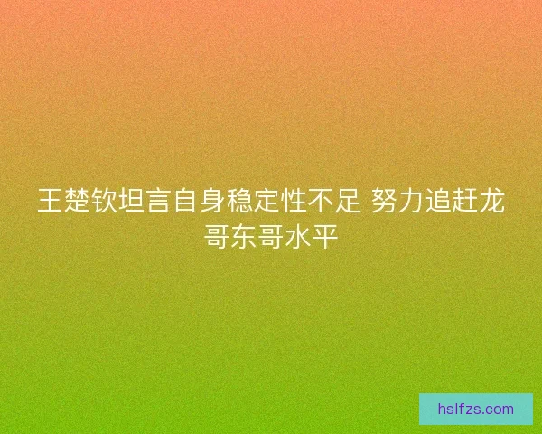 王楚钦坦言自身稳定性不足 努力追赶龙哥东哥水平